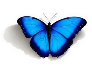 la mariposa azul simboliza la pérdida perinatal