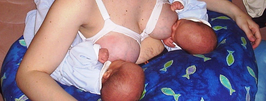 lactancia materna para gemelos
